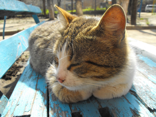 355585 (a): :1600x1200